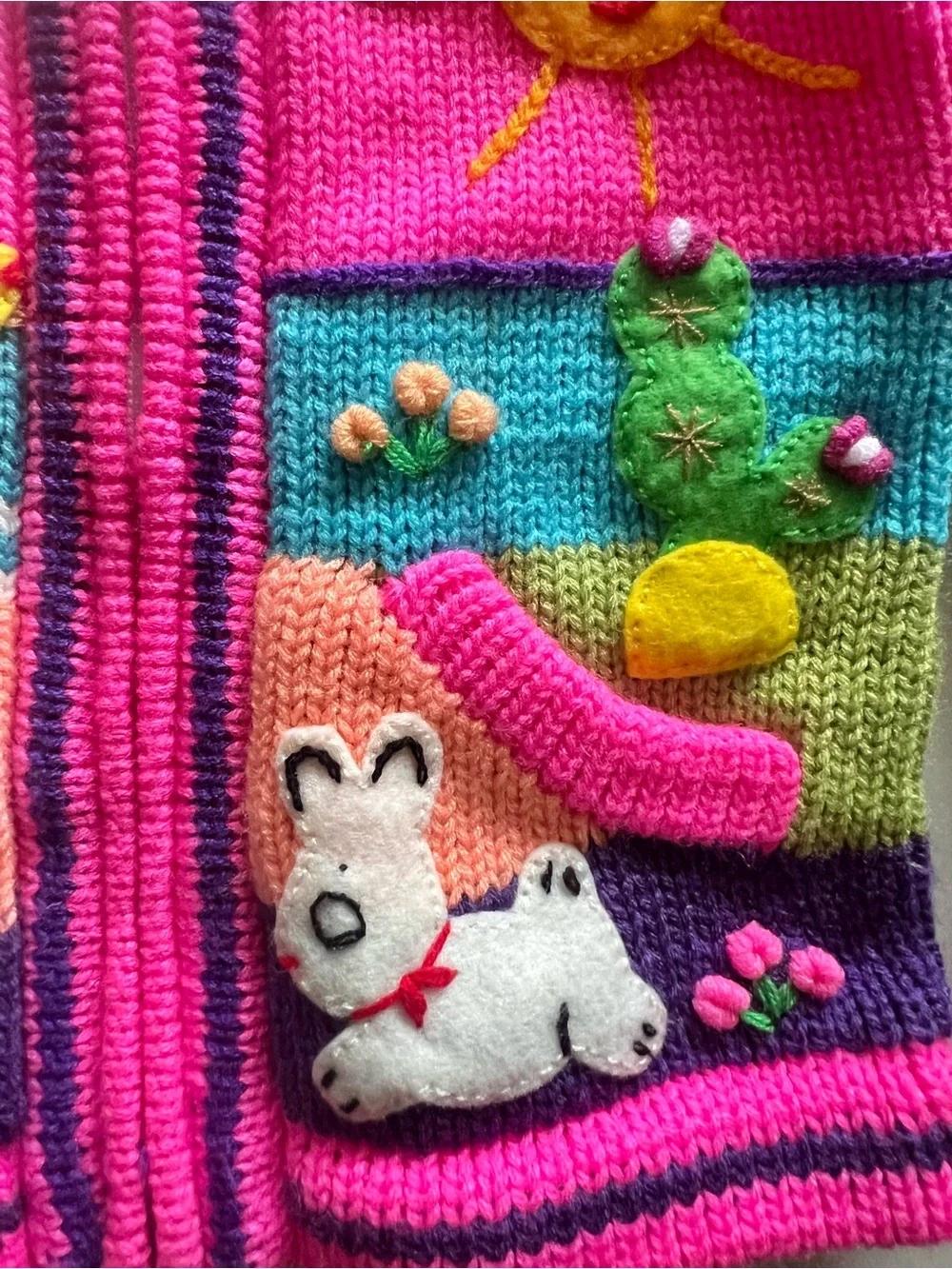 Adorable Colorful Embroidered Hoodie